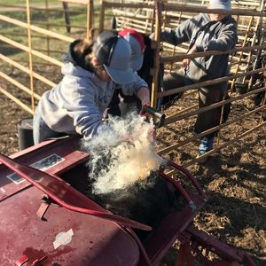 Meet your Posher, Hannah